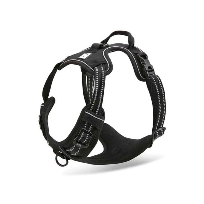 Trailhead Dog Harness - Image 2