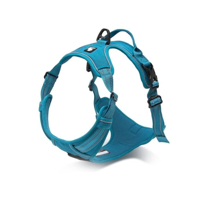 Trailhead Dog Harness - Image 3
