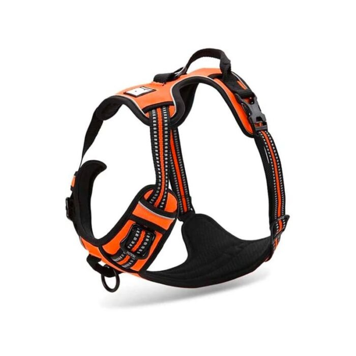 Trailhead Dog Harness - Image 6