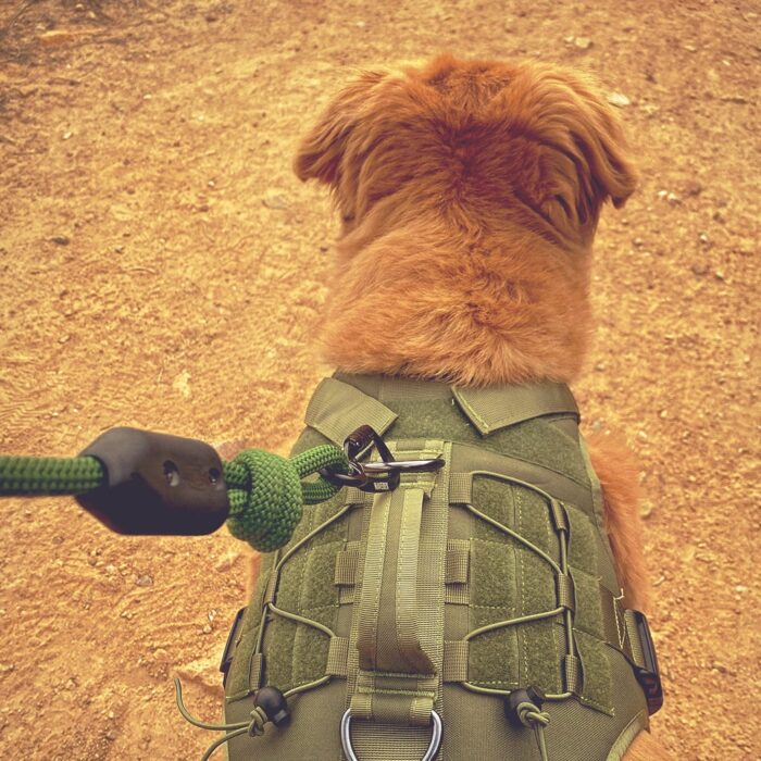 Overland Dog Leash - Image 2