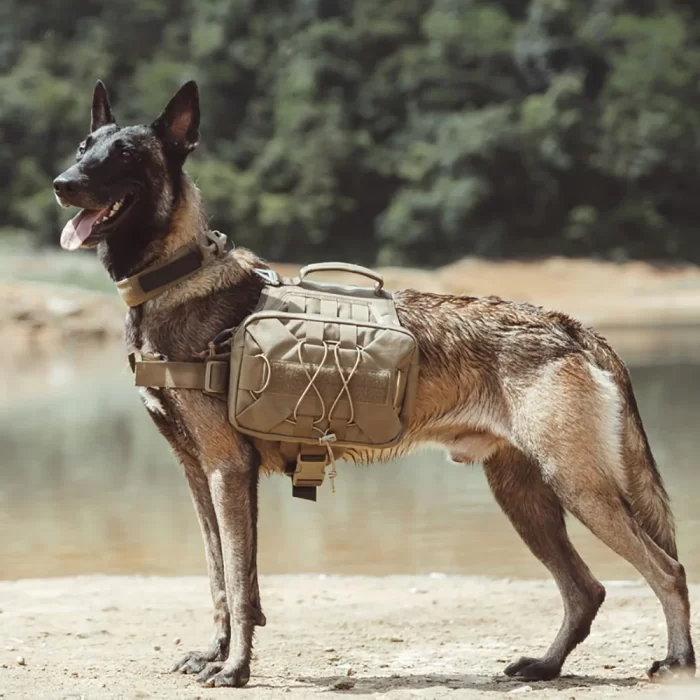 Spirit Saddle Dog Pack - Image 7
