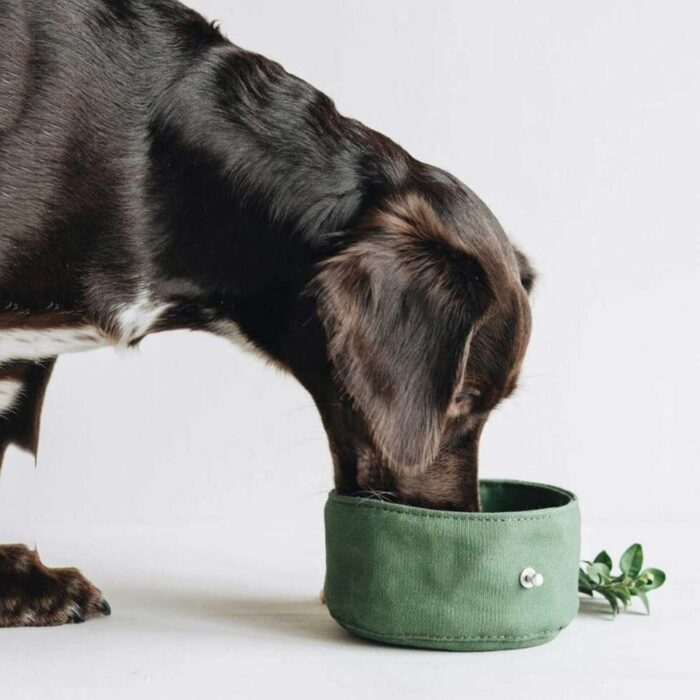 Roam Travel Dog Bowl - Image 12
