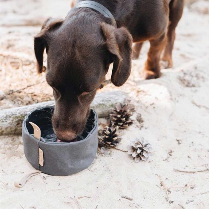 Roam Travel Dog Bowl - Image 13
