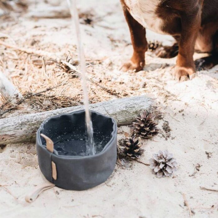 Roam Travel Dog Bowl - Image 14