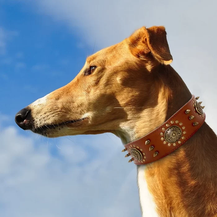 Leather Large Dog Collar Pitbull Spiked Studded Collars - Image 3