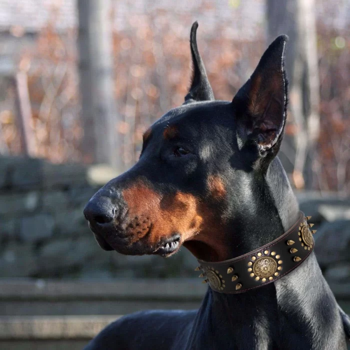 Leather Large Dog Collar Pitbull Spiked Studded Collars - Image 4