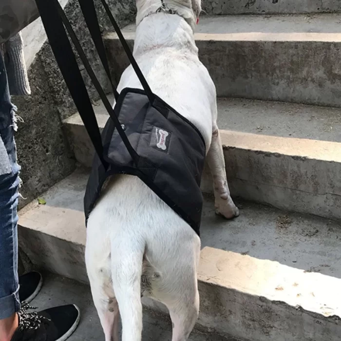 Portable Dog Crane Back Back Hip Support Harness to Help Lift Backpack Dogs - Image 3