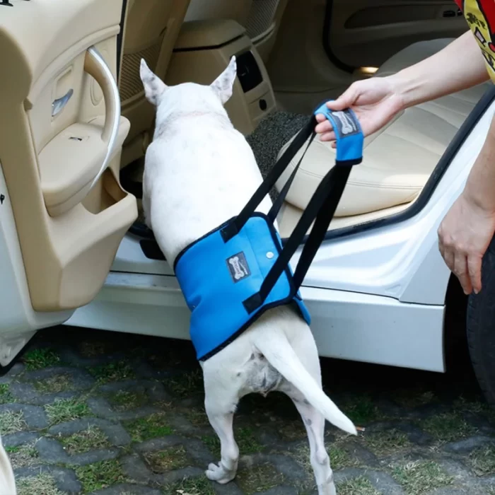 Portable Dog Crane Back Back Hip Support Harness to Help Lift Backpack Dogs - Image 4