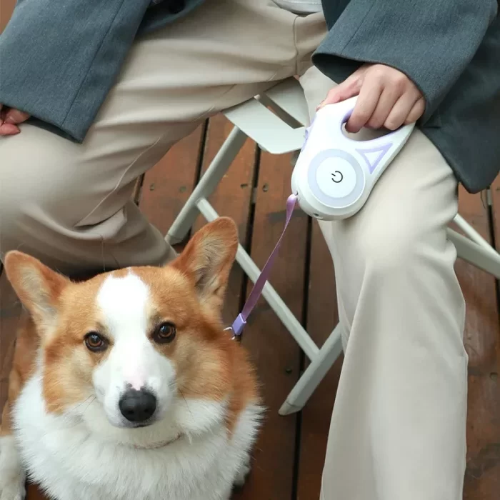 Dog Leash Wich LED Lights Automatic Retractable Nylon Cat Lead Extension - Image 3