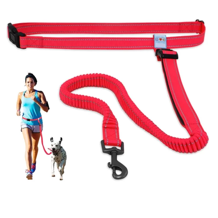 Dog Leash Handsfree Reflective Padded Anti - shock Outdoor Training Running Dog Leash - Image 3