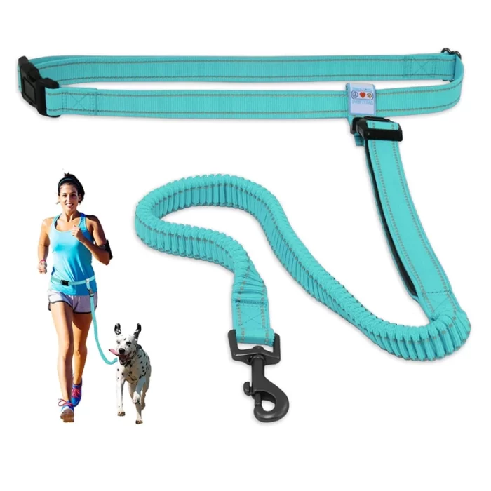 Dog Leash Handsfree Reflective Padded Anti - shock Outdoor Training Running Dog Leash - Image 4