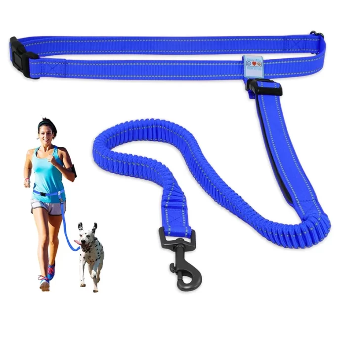Dog Leash Handsfree Reflective Padded Anti - shock Outdoor Training Running Dog Leash - Image 5