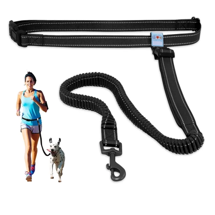 Dog Leash Handsfree Reflective Padded Anti - shock Outdoor Training Running Dog Leash - Image 6
