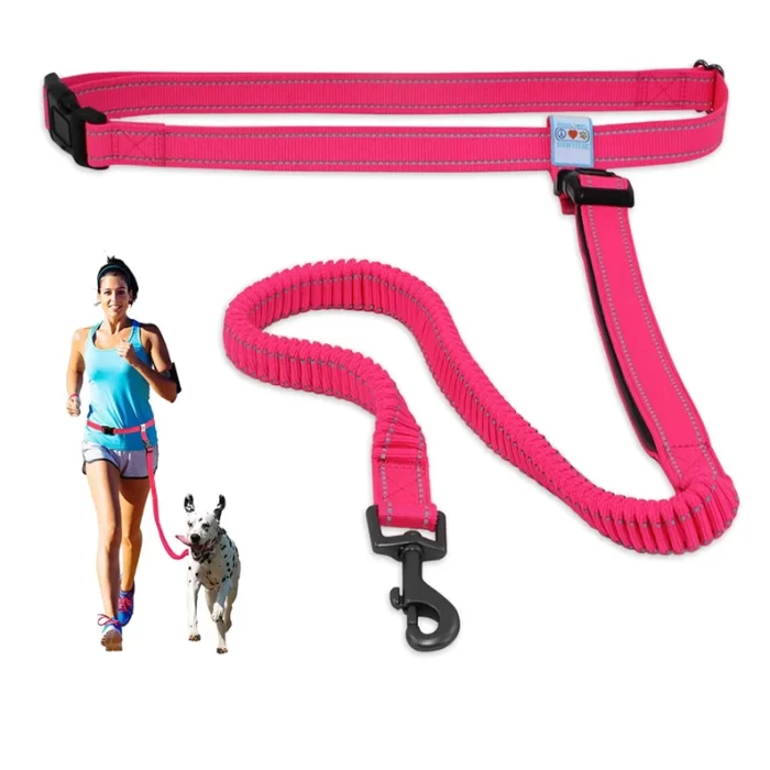Dog Leash Handsfree Reflective Padded Anti - shock Outdoor Training Running Dog Leash - Image 7
