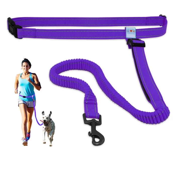 Dog Leash Handsfree Reflective Padded Anti - shock Outdoor Training Running Dog Leash - Image 8
