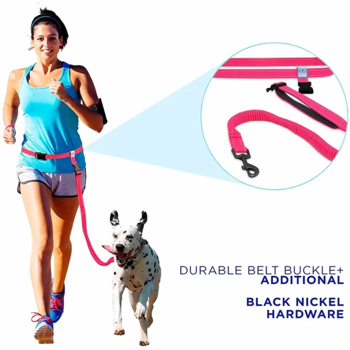 Dog Leash Handsfree Reflective Padded Anti - shock Outdoor Training Running Dog Leash - Image 9
