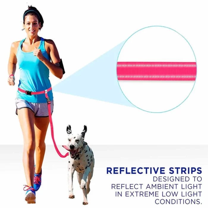 Dog Leash Handsfree Reflective Padded Anti - shock Outdoor Training Running Dog Leash - Image 10