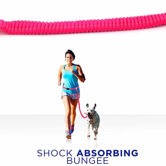 Dog Leash Handsfree Reflective Padded Anti - shock Outdoor Training Running Dog Leash - Image 11